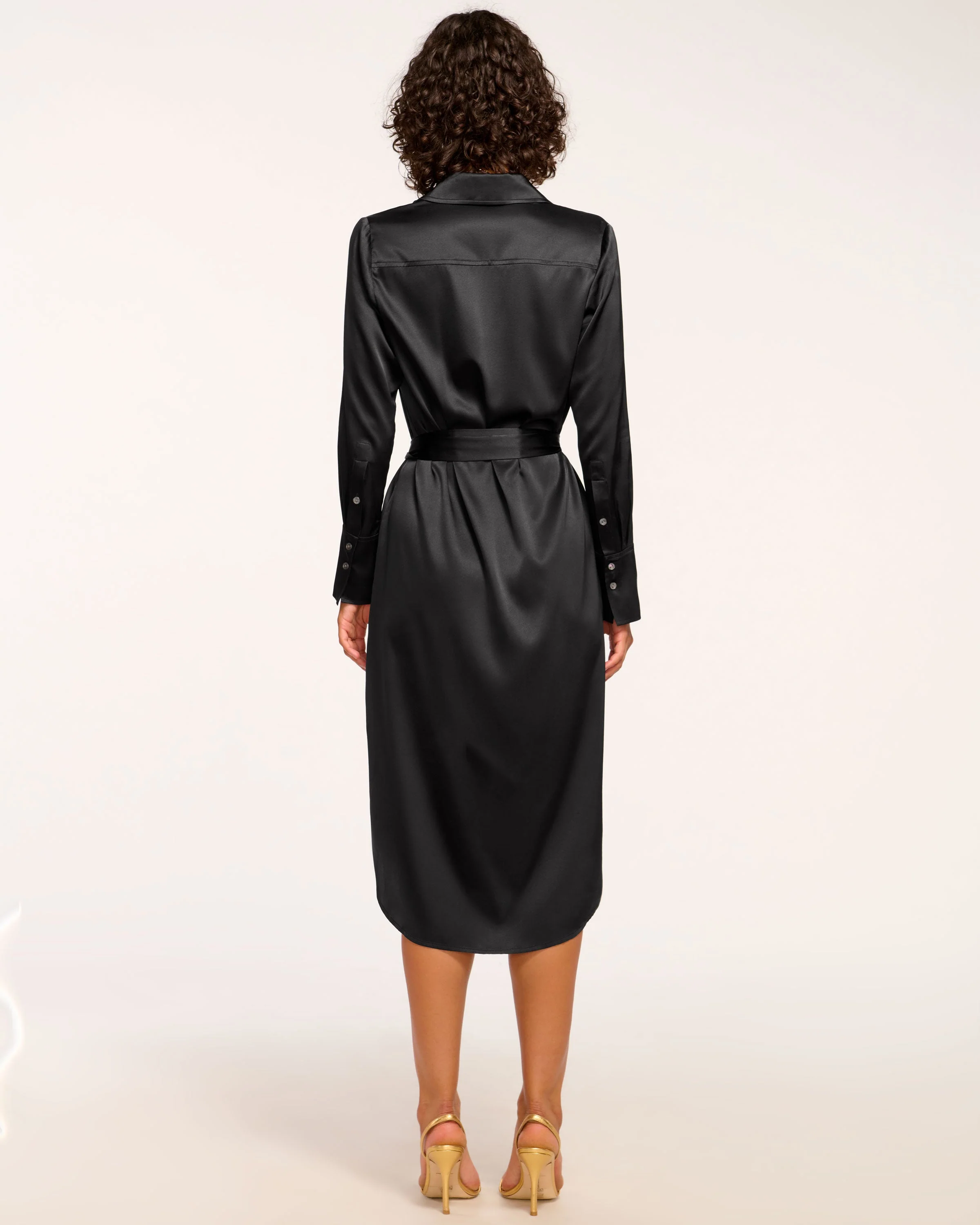 Victoria Silk Button Down Midi Dress - Image 4